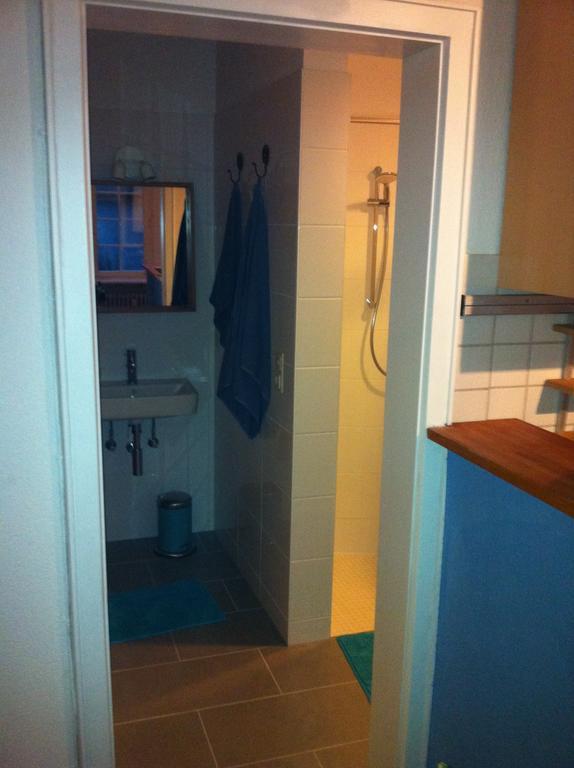 Apartment Herdern *